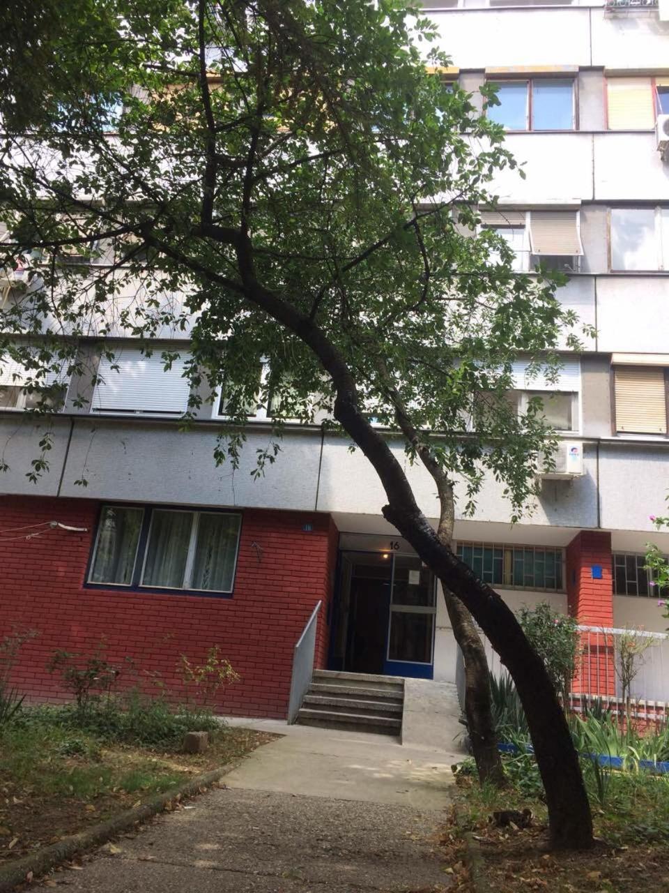 Vortexluxapatman Beograd Ngoại thất bức ảnh